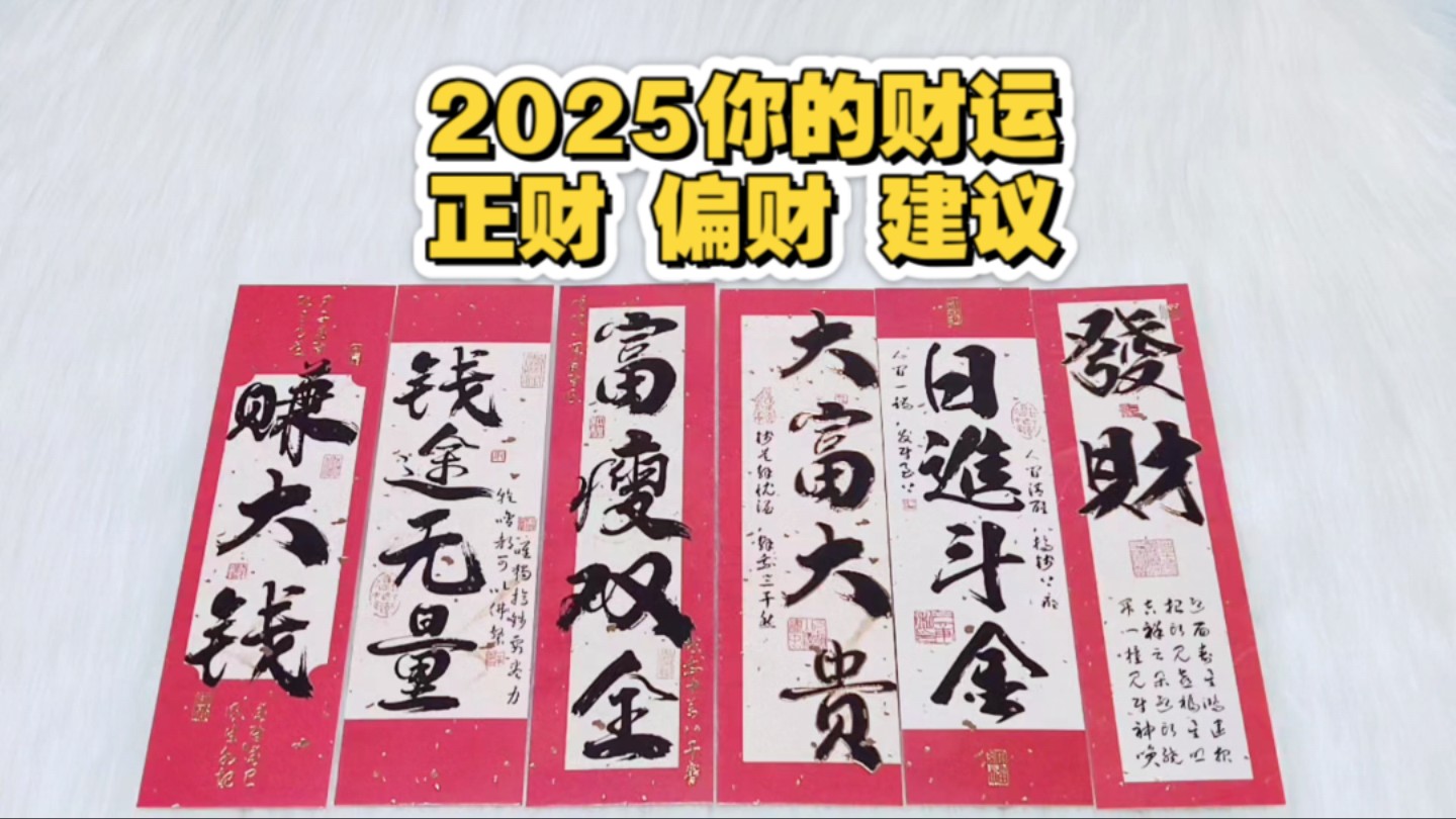 【尽皆如愿】2025你的财运,正财偏财及建议(大众占卜丨占卜6选1)哔哩哔哩bilibili