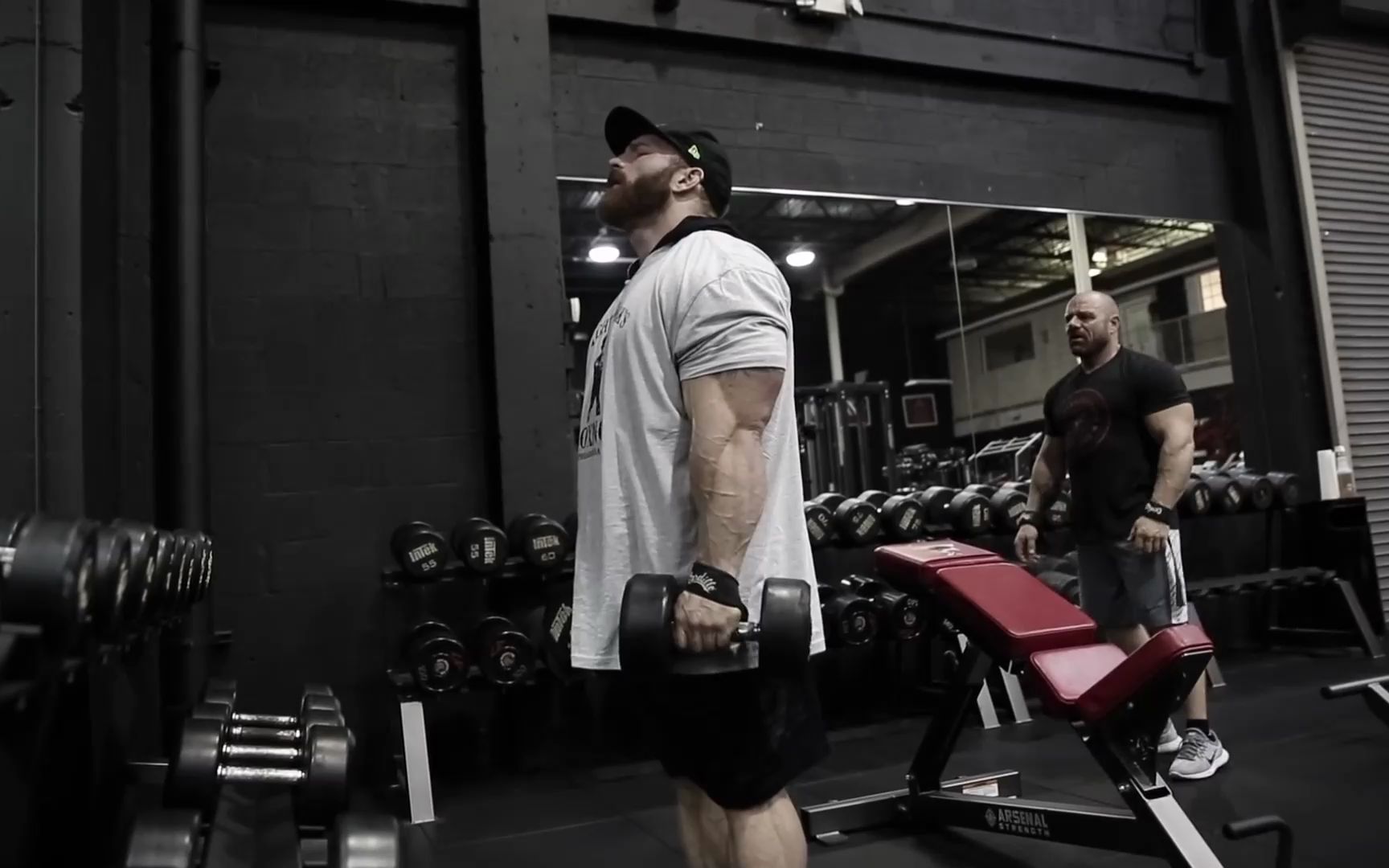 刘易斯肩膀+三头训练Flex Lewis Unfiltered 8哔哩哔哩bilibili