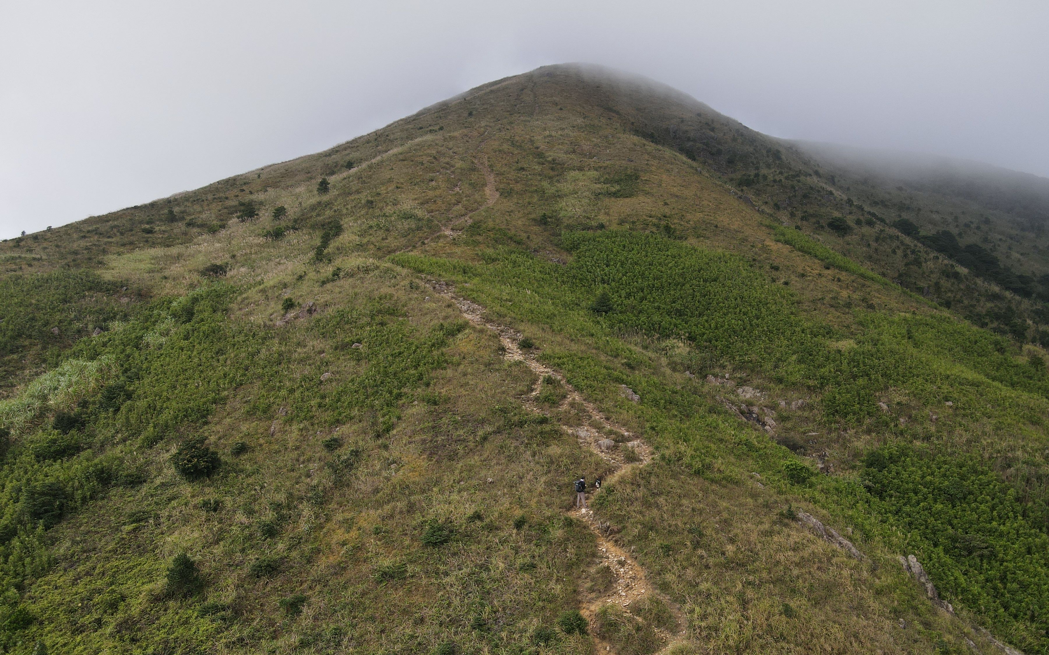 狗狗的户外生活深圳周边游登顶白云嶂,大芒草,大南山哔哩哔哩bilibili