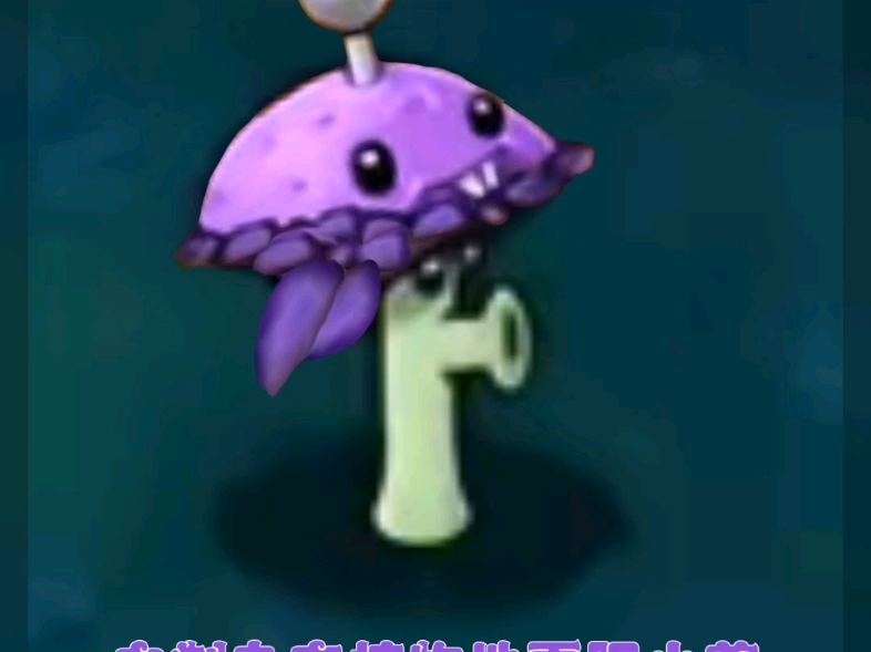 自制杂交植物地雷胆小菇