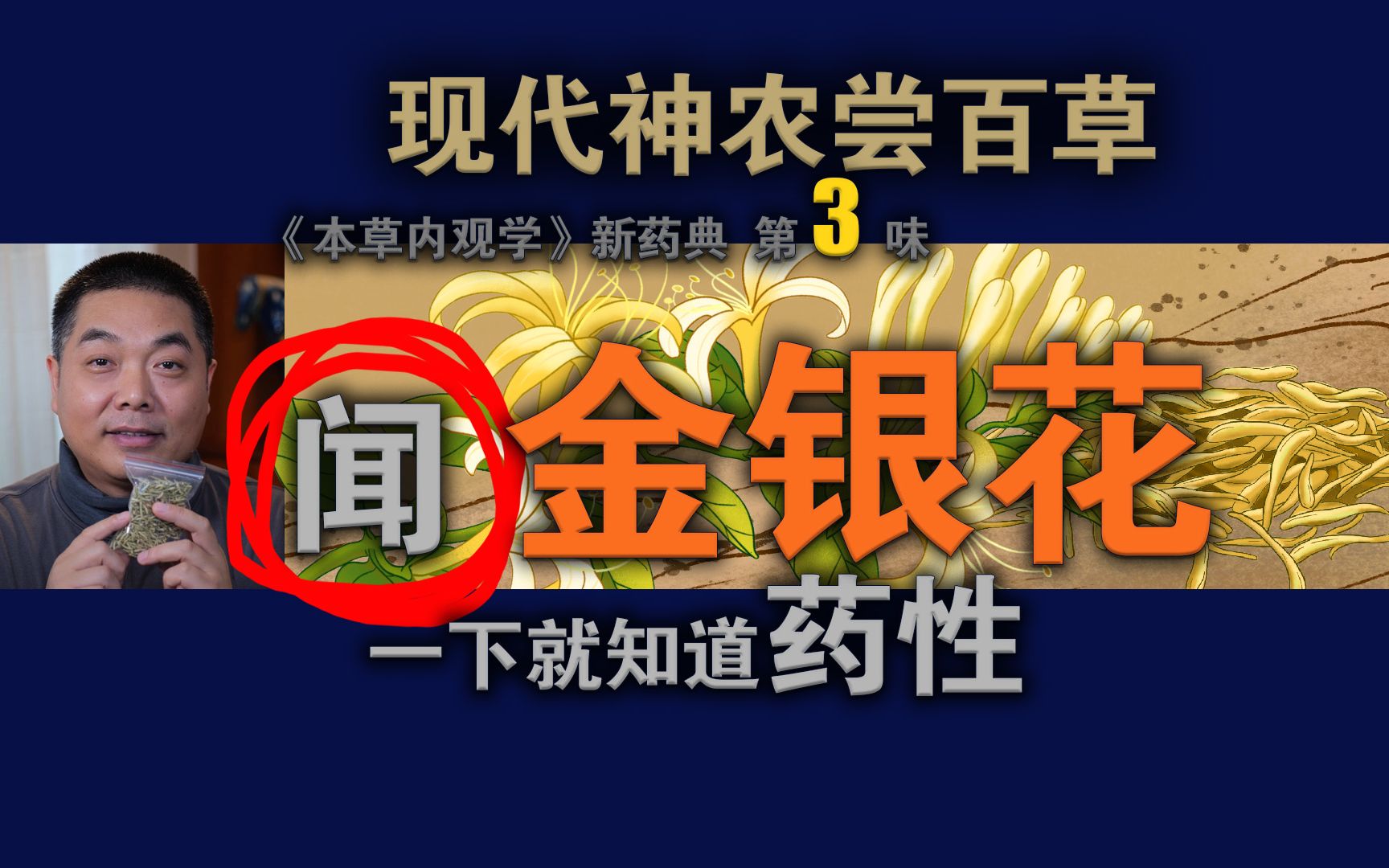 闻一下就知道金银花药性现代神农尝百草《本草内观学》新药典训练科目 北京同仁堂中医药大学我的内观经历哔哩哔哩bilibili