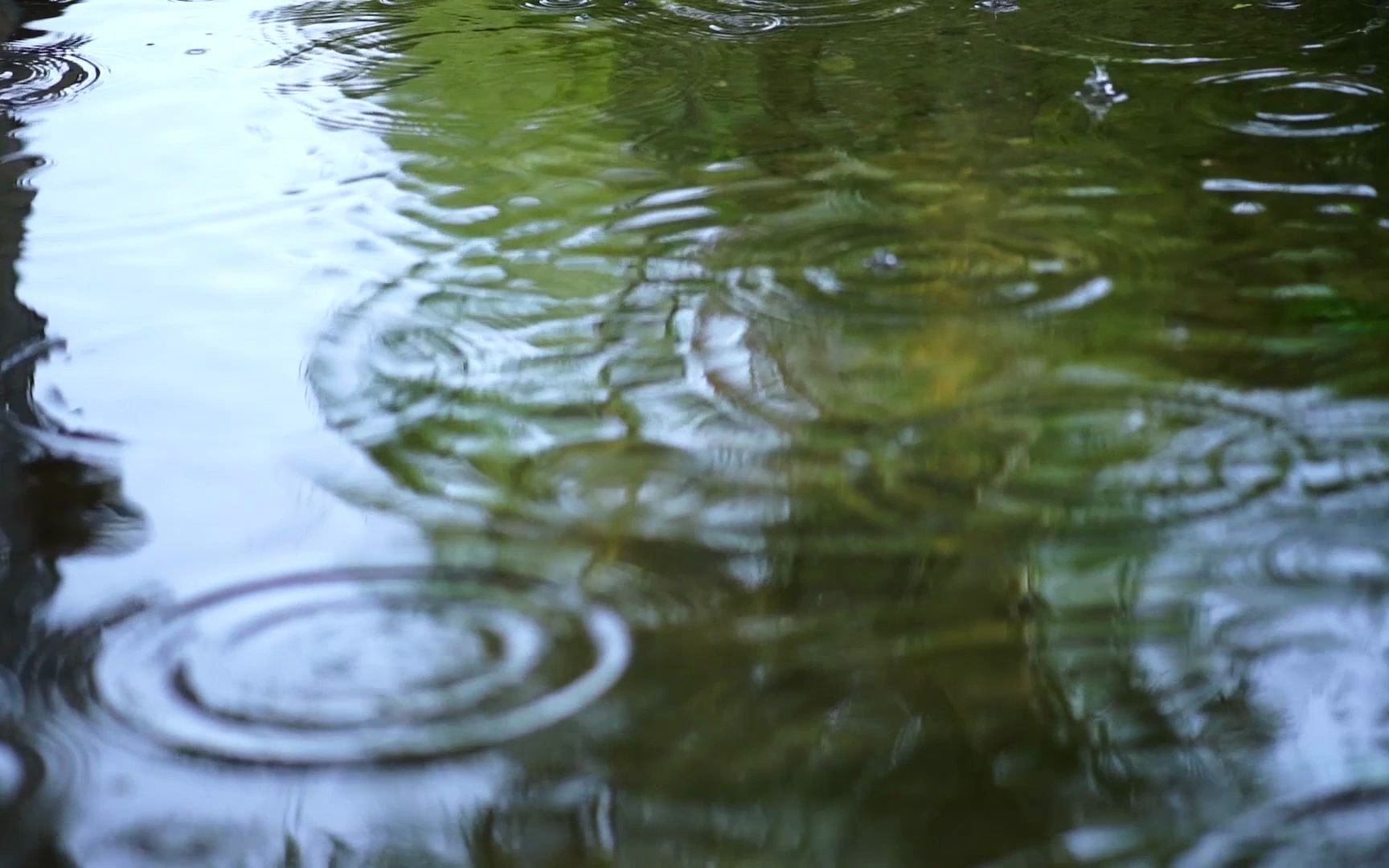 [图]窦唯 雨吁