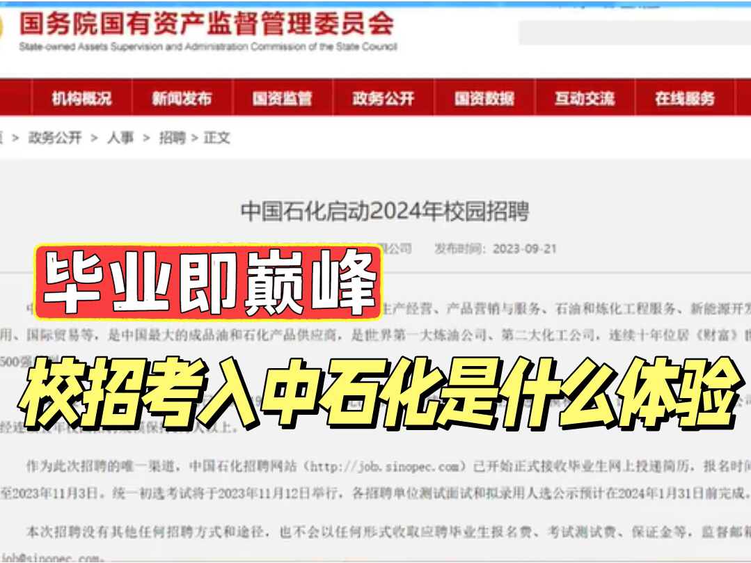 硕士在中石化的真实待遇!毕业即巅峰,校招考入中石化是什么体验?|附备考经历|哔哩哔哩bilibili