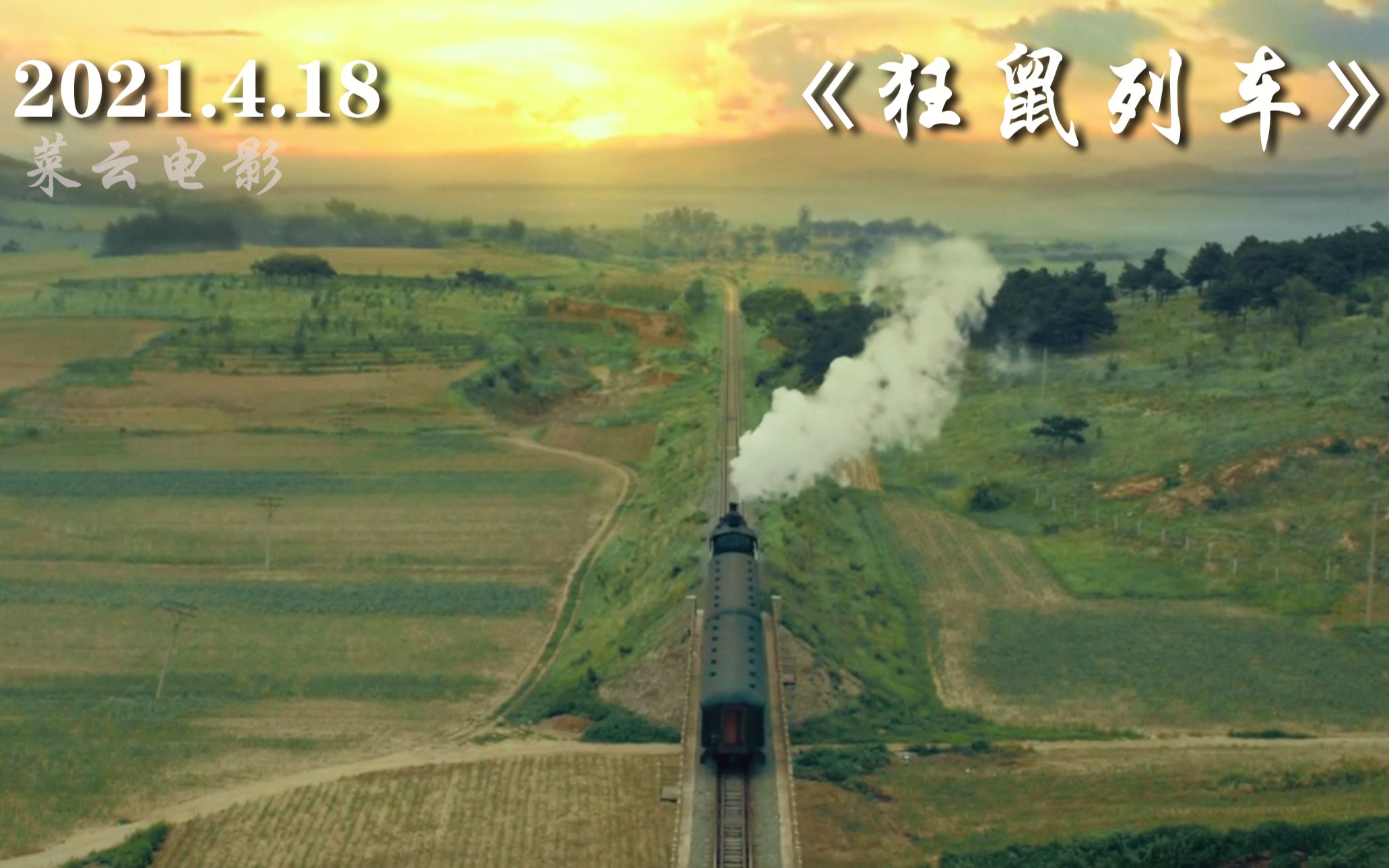 这么多的大黑鼠怕不怕电影解说狂鼠列车