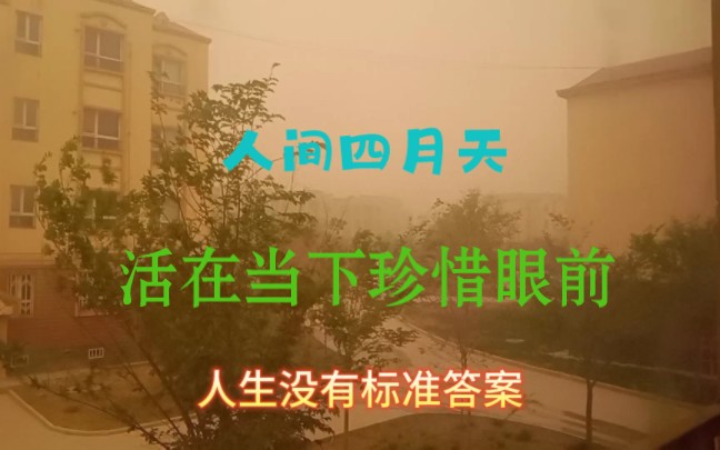 新疆的人间四月天,活在当下珍惜眼前,甘肃人在新疆的vlog