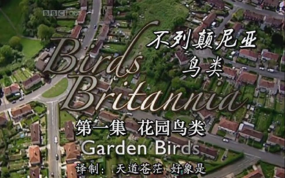 [图]BBC英国鸟类E01.花园鸟Garden.Birds2010