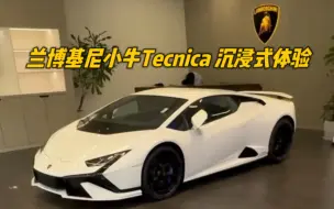 Скачать видео: 兰博基尼小牛Tecnica 沉浸式体验