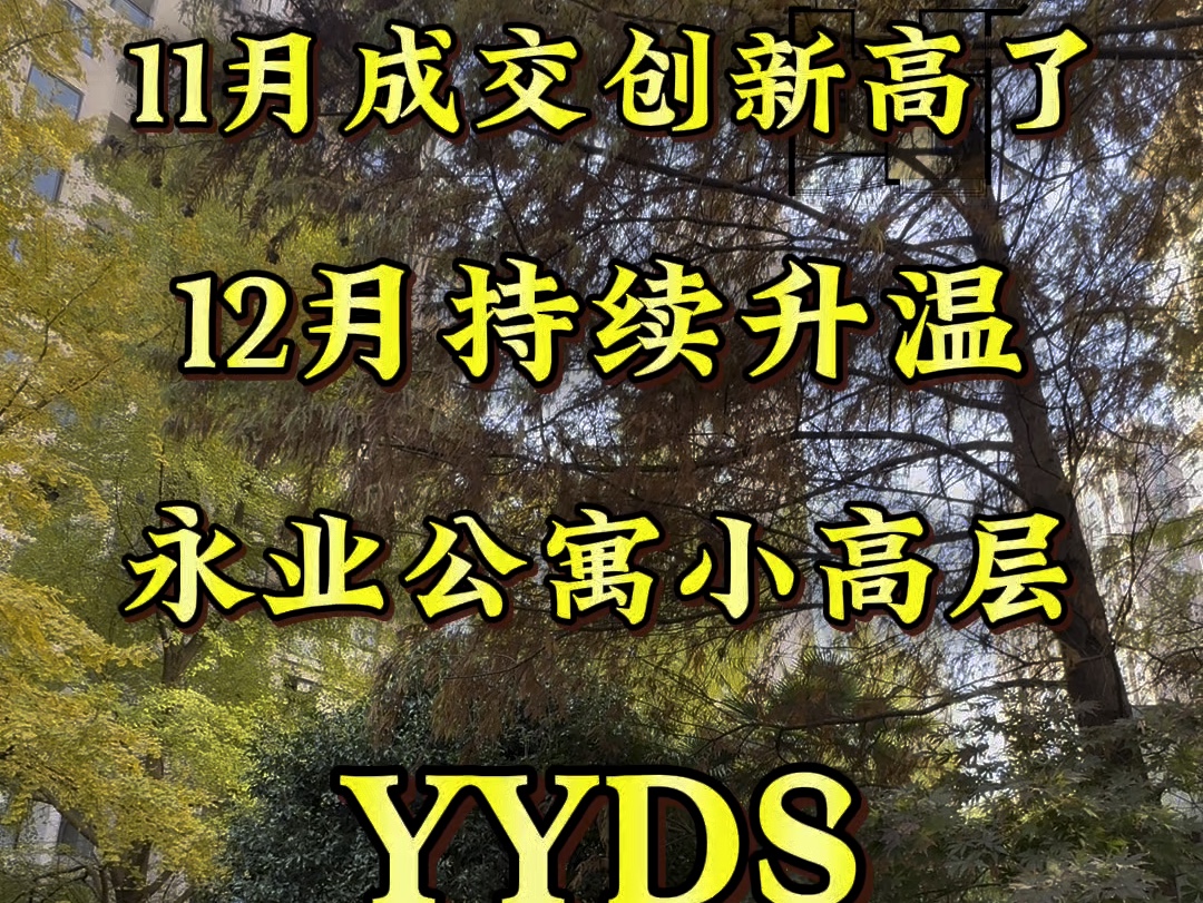 11月份网签创造新高了|12月继续升温中!永业公寓小高层今年最后一套了130方,使用率极高一梯两户,看房我有钥匙#北京 #上海 #好房推荐 #楼市哔哩哔...