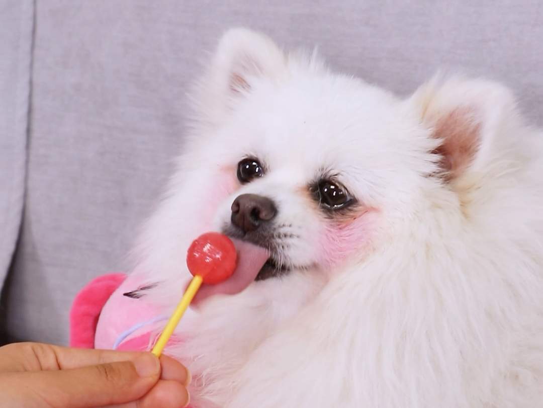 特殊味道的棒棒糖