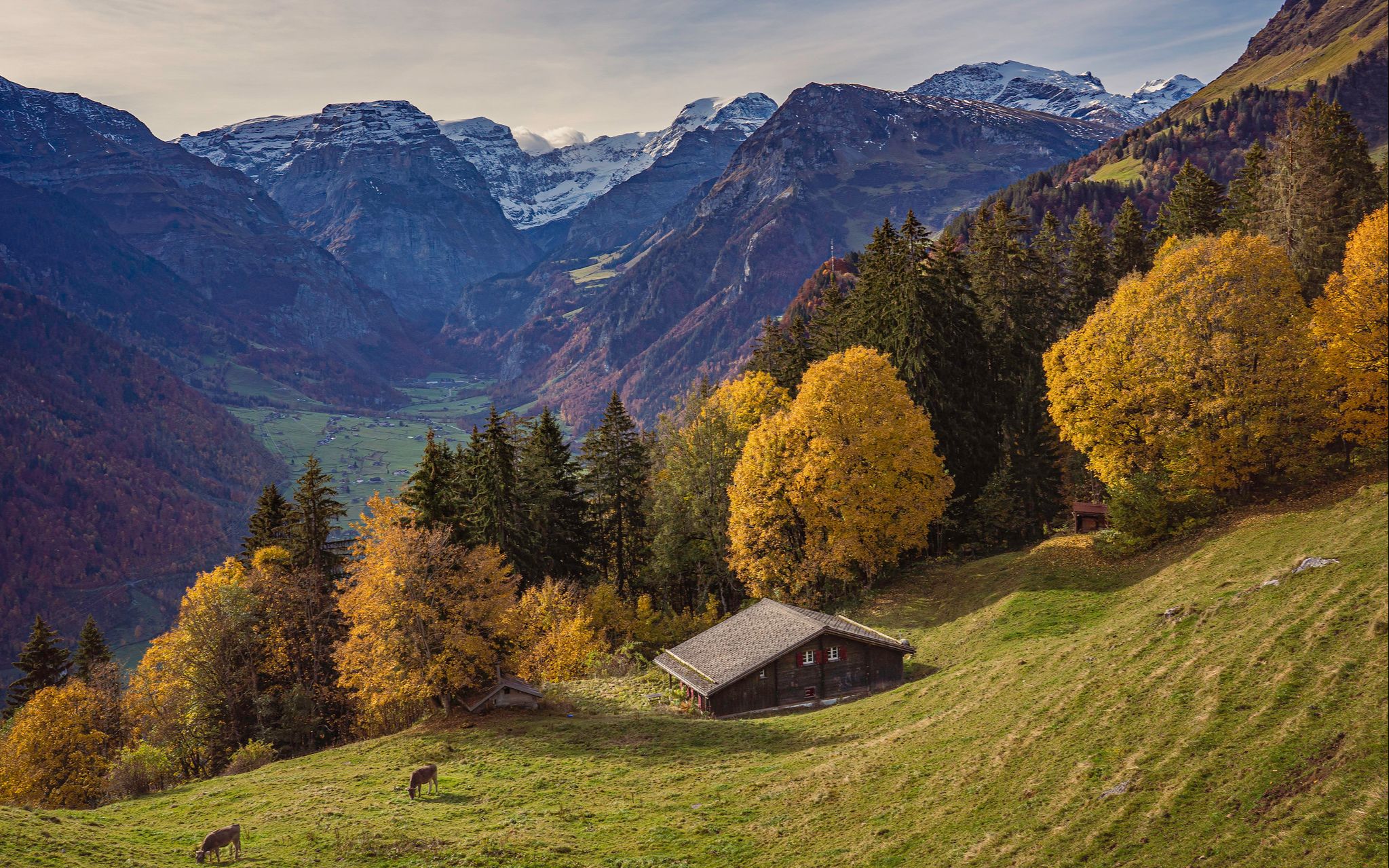 瑞士布劳恩瓦尔德 ,美丽的高山村庄,令人印象深刻的山村美景
