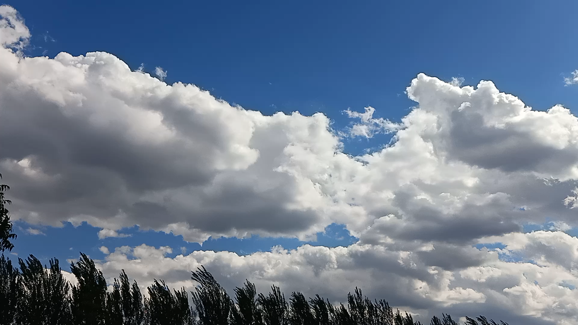 今天的雲也是軟綿綿的