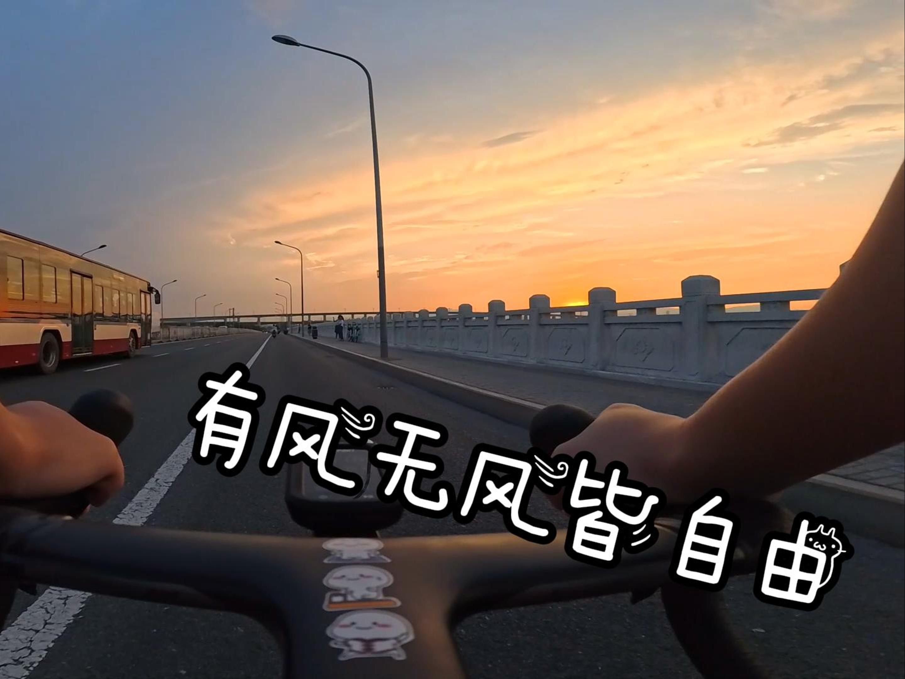 心若无所求,有风无风皆自由