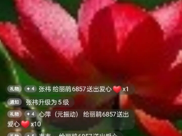 丽鹃姐姐讲:生活与感知+爱暖暖出场哔哩哔哩bilibili