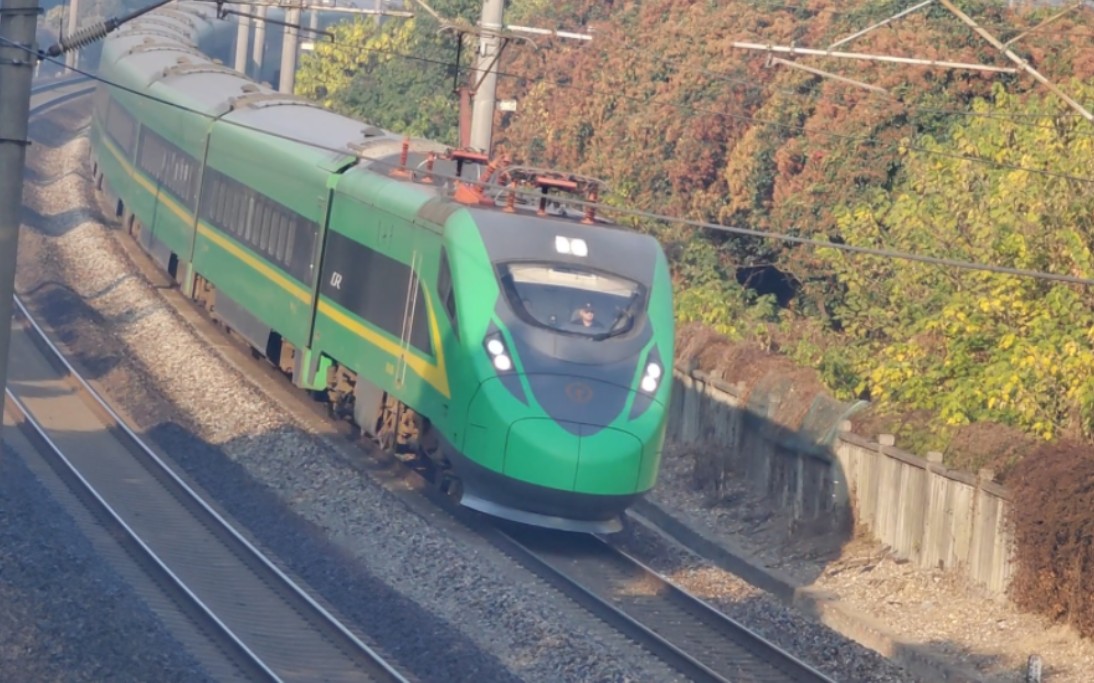 京沪铁路,坑钱动车d705通过观景新村