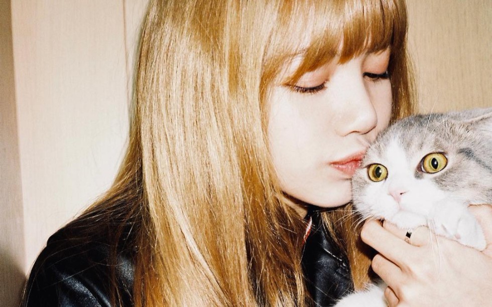 lisascatpart3leo体型vsluca