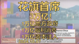 Descargar video: 【花旗首席】预计2~3万亿！一万亿给地方政府，一万亿刺激消费，一万亿注入银行资本