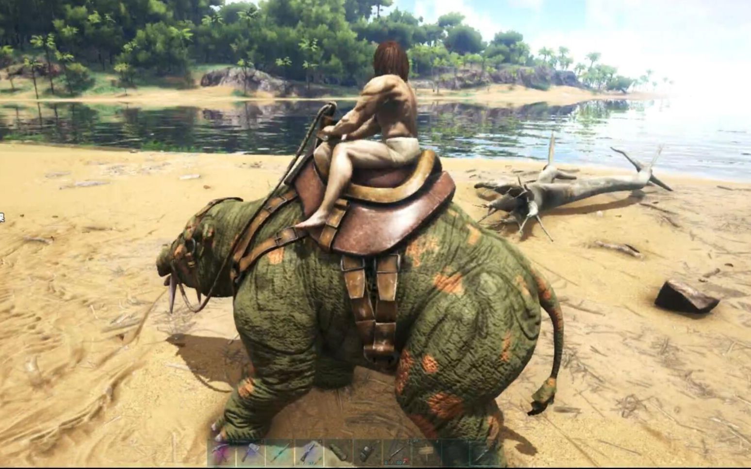 方舟渐新象到底有什么用