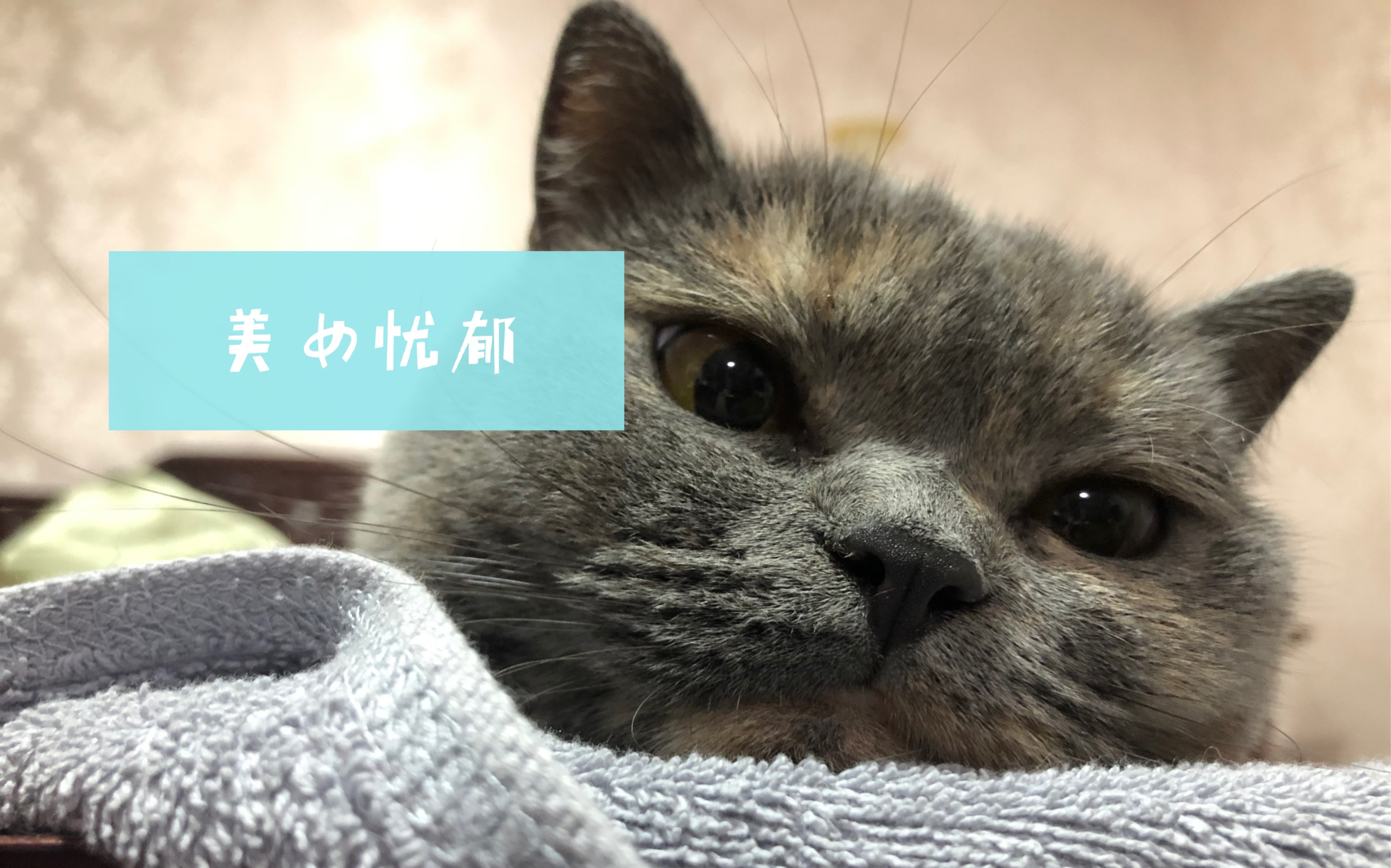 【搞咪】202009视频_哔哩哔哩_bilibili