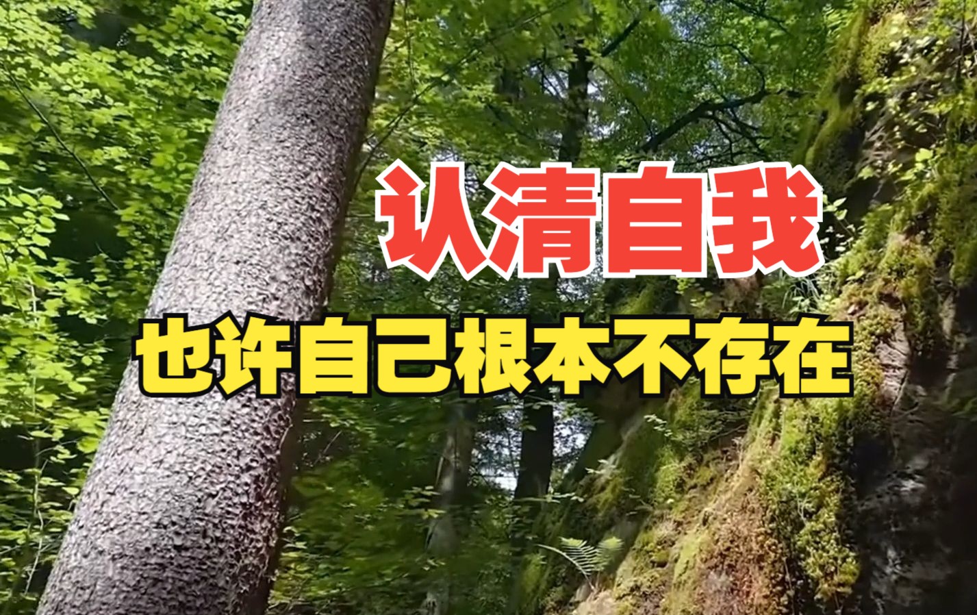 识命谷·生命学堂丨"我"是谁,如何全面彻底认清自我