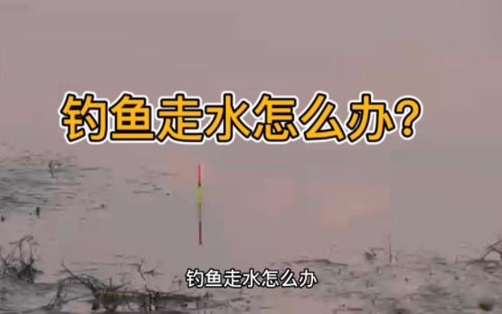 钓鱼大师野钓走水怎么调漂?小跑铅大跑铅双铅钓法?哔哩哔哩bilibili