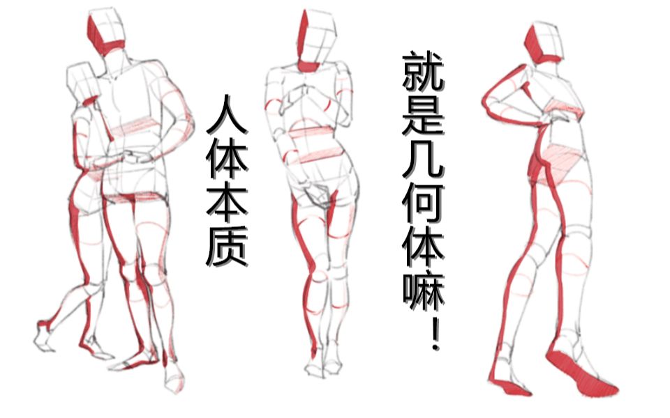 人体本质就是几何体嘛3步带你入门人体结构蓝铅笔快乐学画