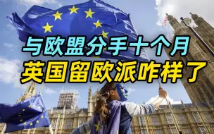 Download Video: 【观察】与欧盟分手十个月：英留欧派挤爆德法使馆，移民变成生意