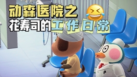 动森 花寿司日常举铁 哔哩哔哩 つロ干杯 Bilibili