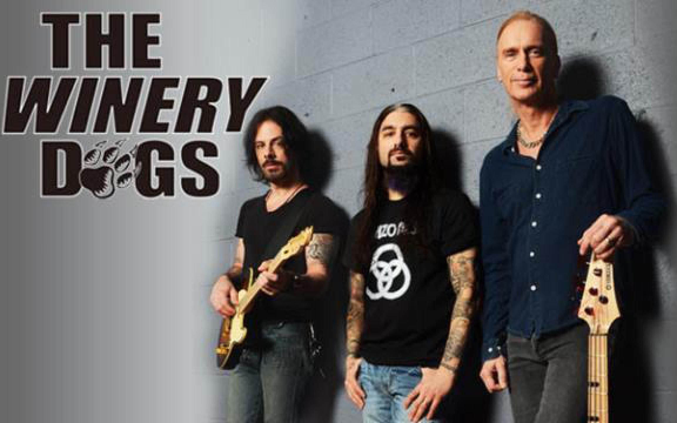 美国硬摇滚/布鲁斯摇滚乐队 The Winery Dogs 现场合集哔哩哔哩bilibili