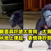 狗子戴面具吓唬大黄狗,大黄直接吓到从地上弹起,表情狰狞惹爆笑_哔哩