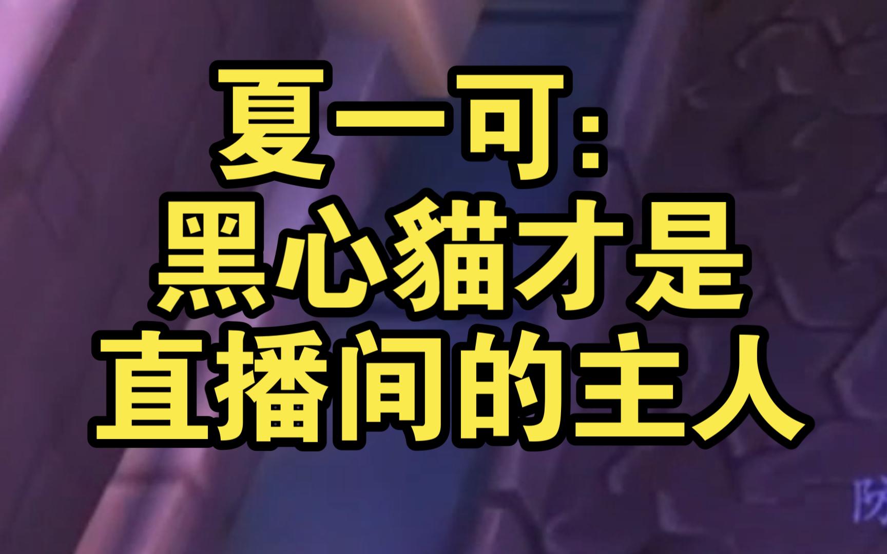 夏一可：黑心貓才是直播间的主人【狗粮】-王添奕-王添奕-哔哩哔哩视频