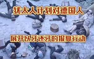 Download Video: 犹太人复仇计划：以牙还牙想毒死600万德国人