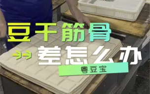 Tải video: 怎样提高豆干的筋骨？豆干是最容易做大的，但是大型的豆干制作又必须要用到流水线。这就是手工豆干和机器豆干最大的差别。#豆腐 #豆干 #质量