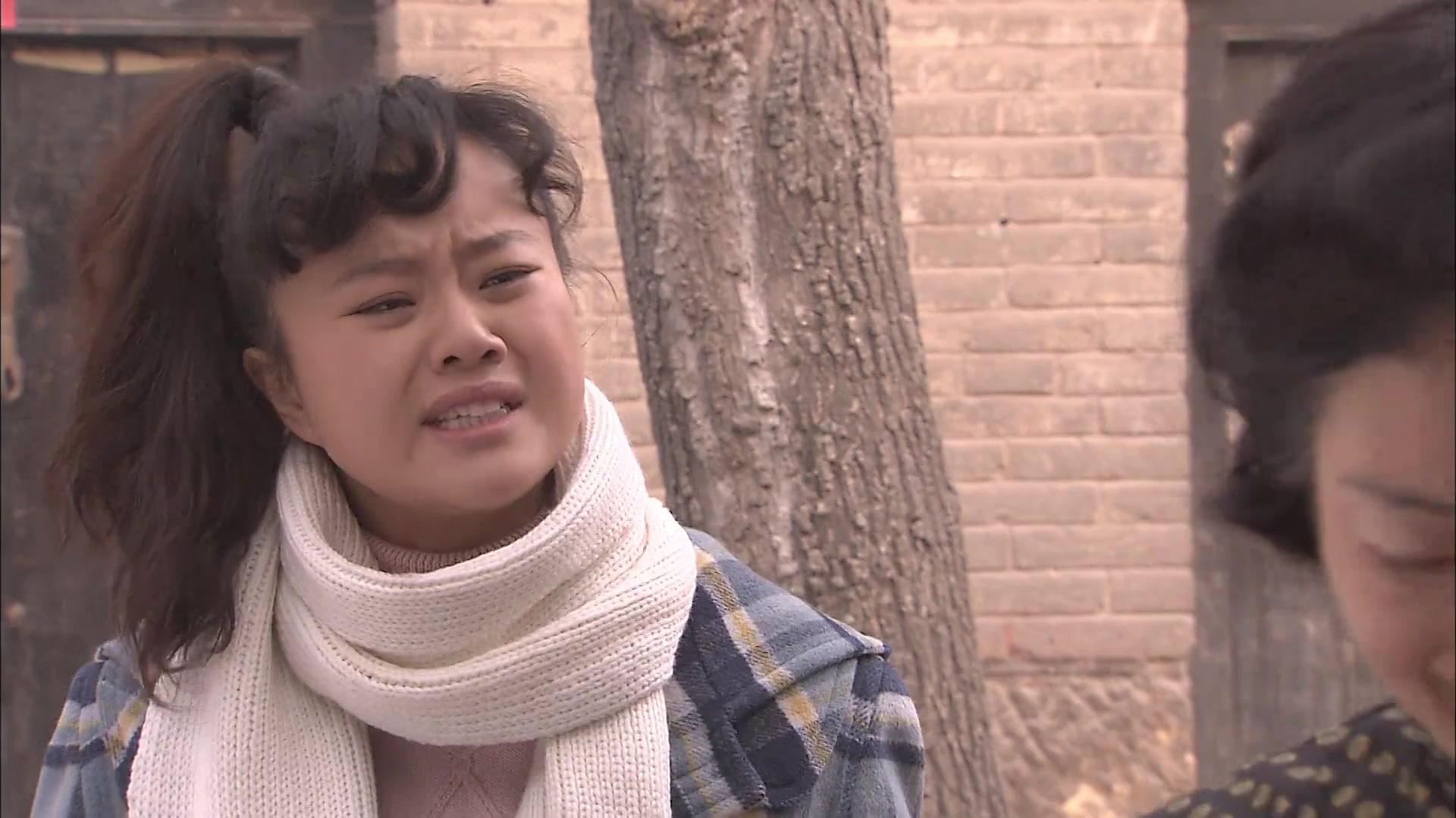 二叔:铁蛋非要娶宝珠,当上门女婿也不在乎,不料宝珠不同意了