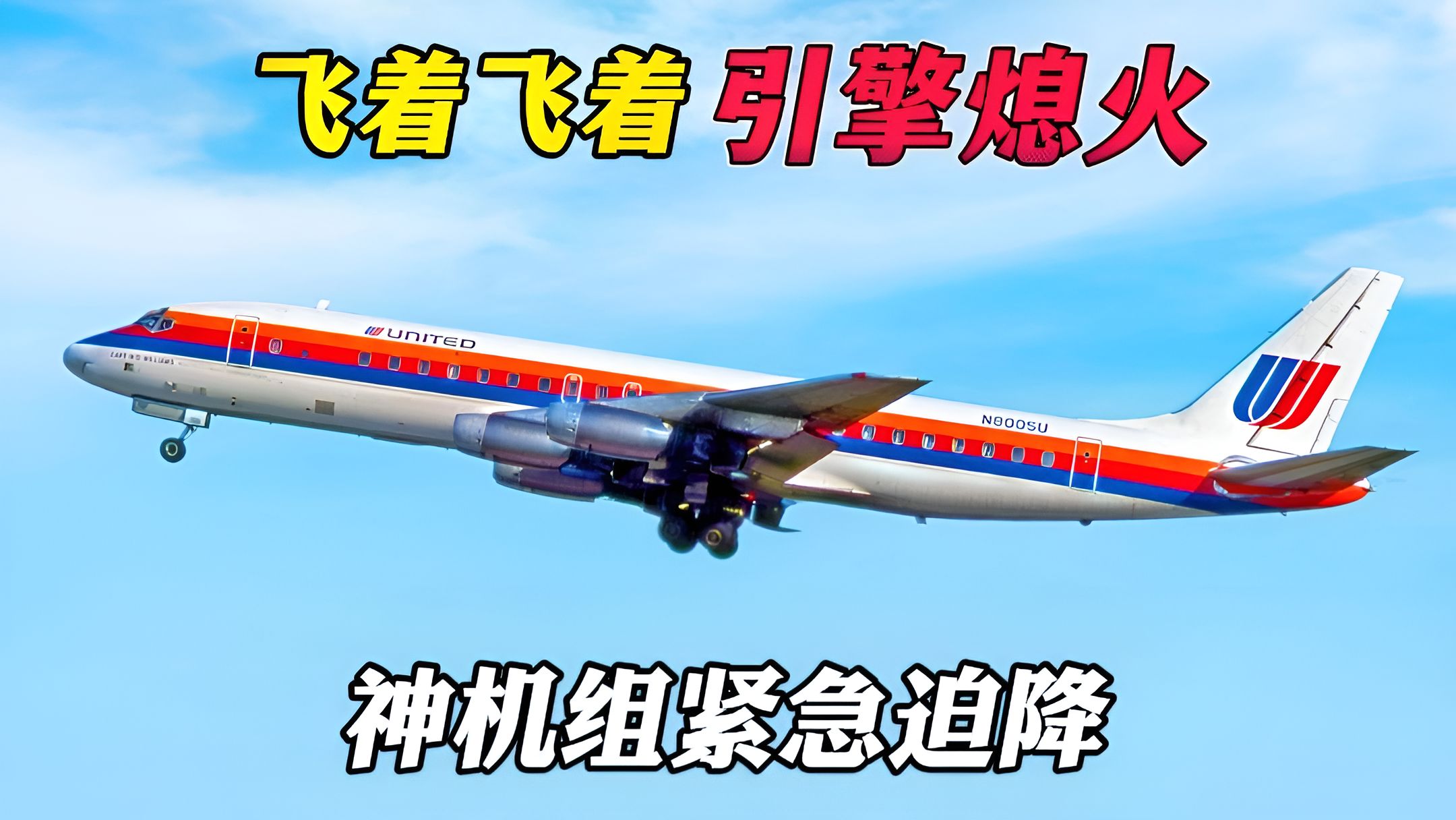 飞机突然引擎熄火 机长极限操作 紧急迫降树林 空难纪录片