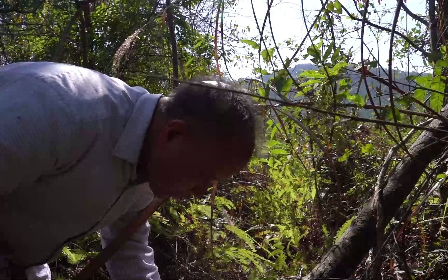 钻荆棘,爬高山,这就是堪舆师的工作哔哩哔哩bilibili