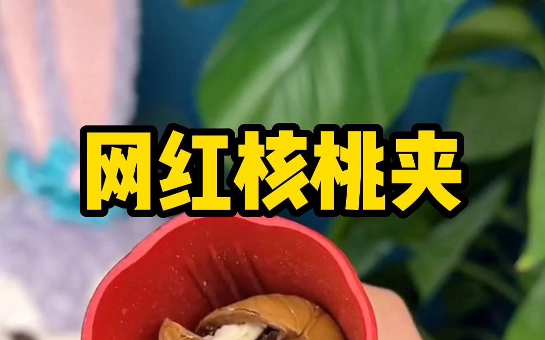 网红核桃夹还真挺好用哔哩哔哩bilibili