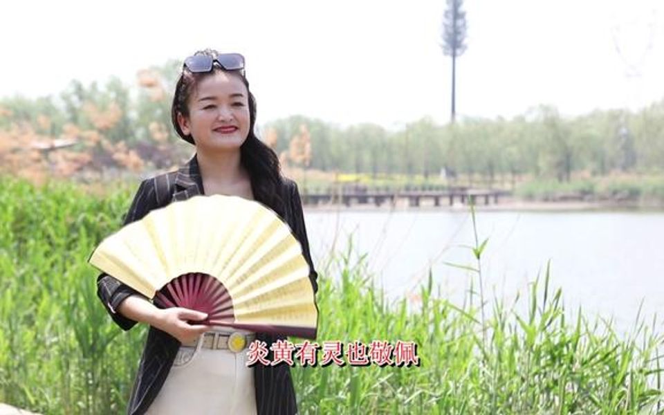 [图]杨晓琼莲花落七十二行 说的都是大实话4