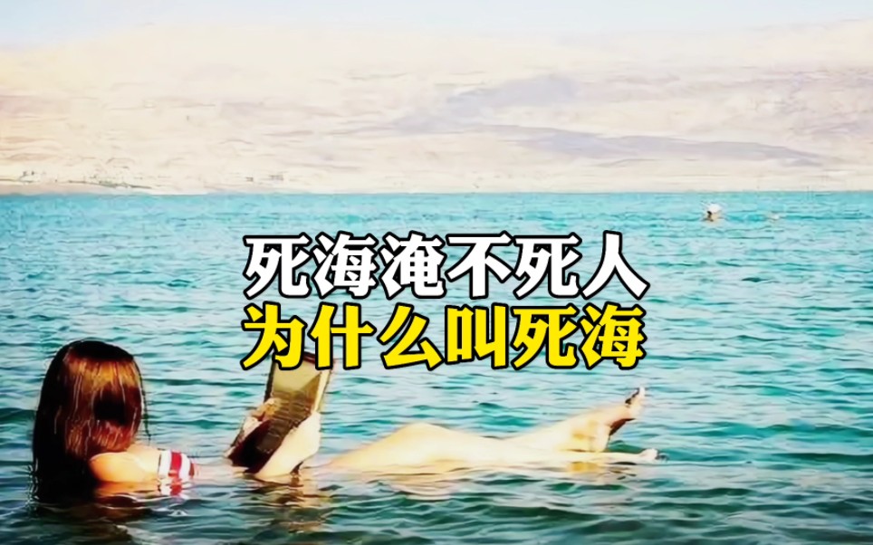 死海淹不死人为什么叫死海哔哩哔哩bilibili