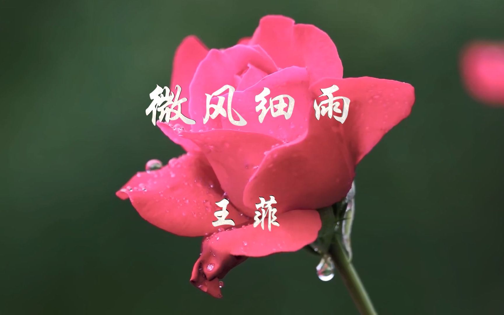 [图]微风细雨（王菲）