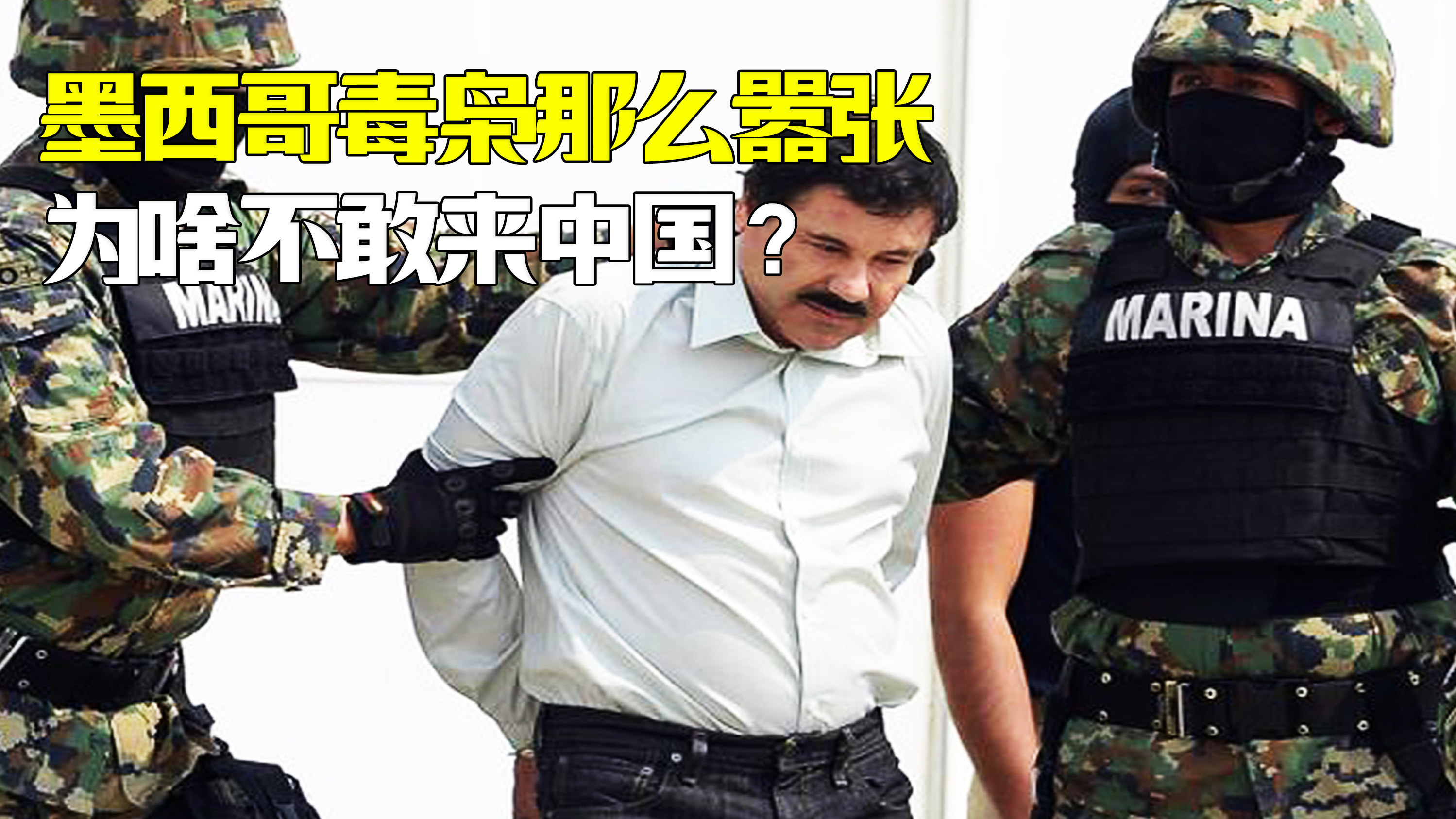 墨西哥毒枭那么嚣张,为啥不敢深耕国内蓝海市场?