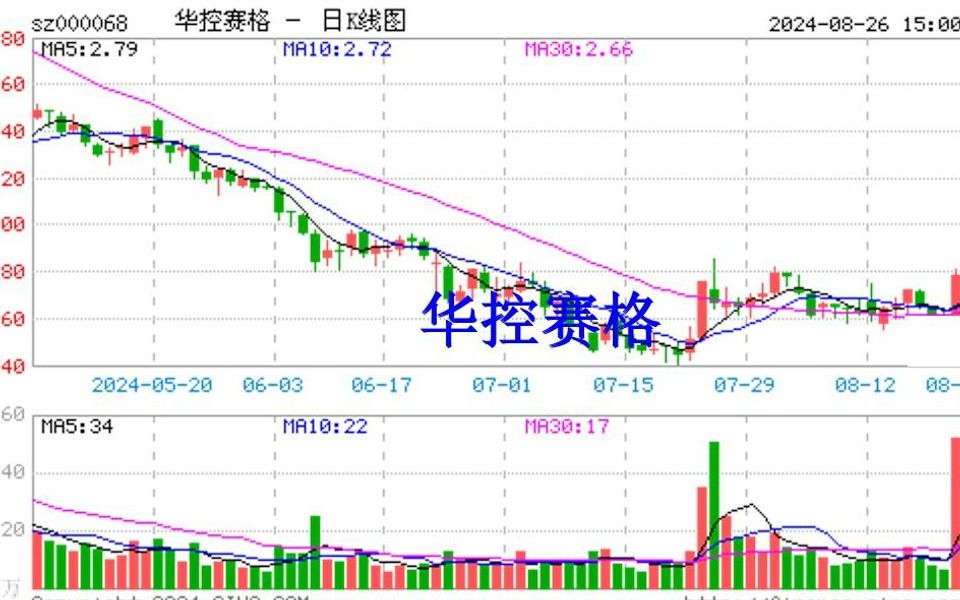 华控赛格股价“狂涨”,赚了也不影响股票索赔哔哩哔哩bilibili