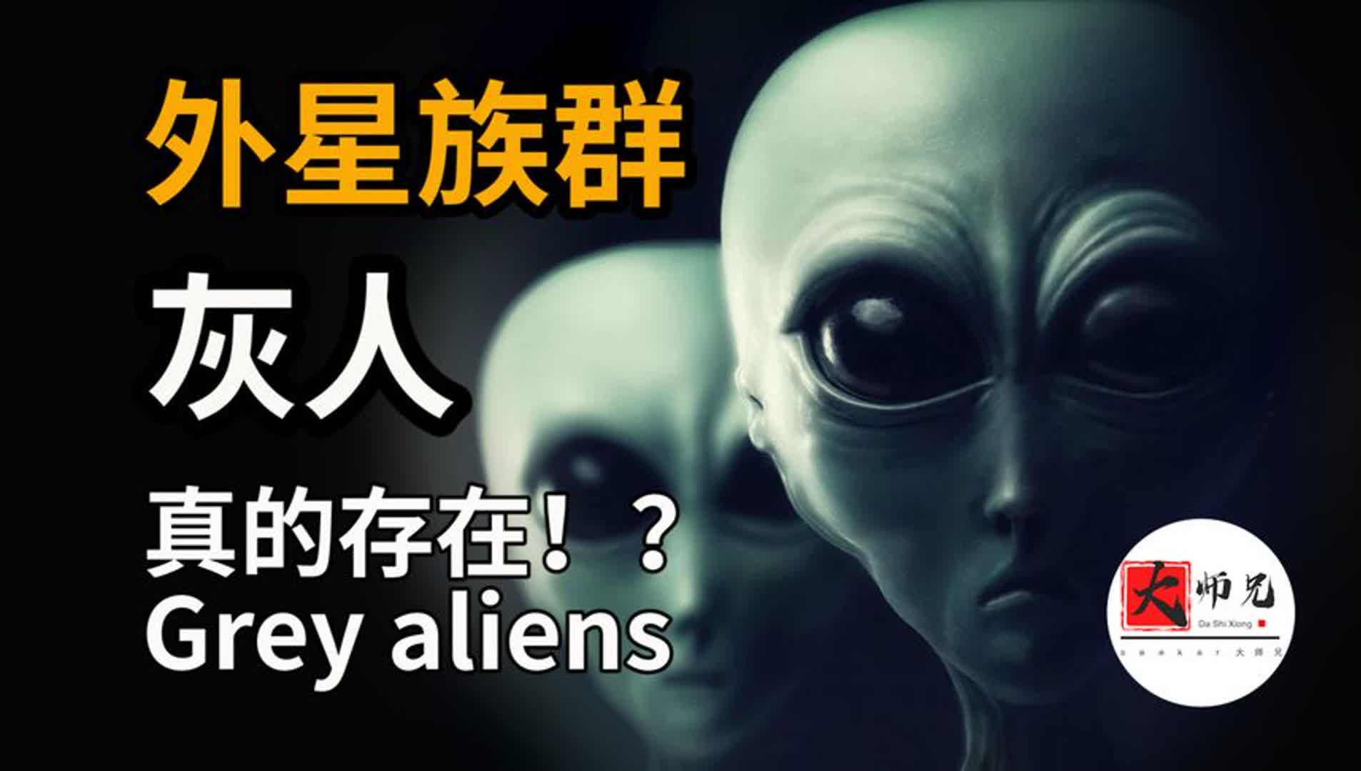 外星人种类:灰人 不是外星人?他们是未来人!哔哩哔哩bilibili