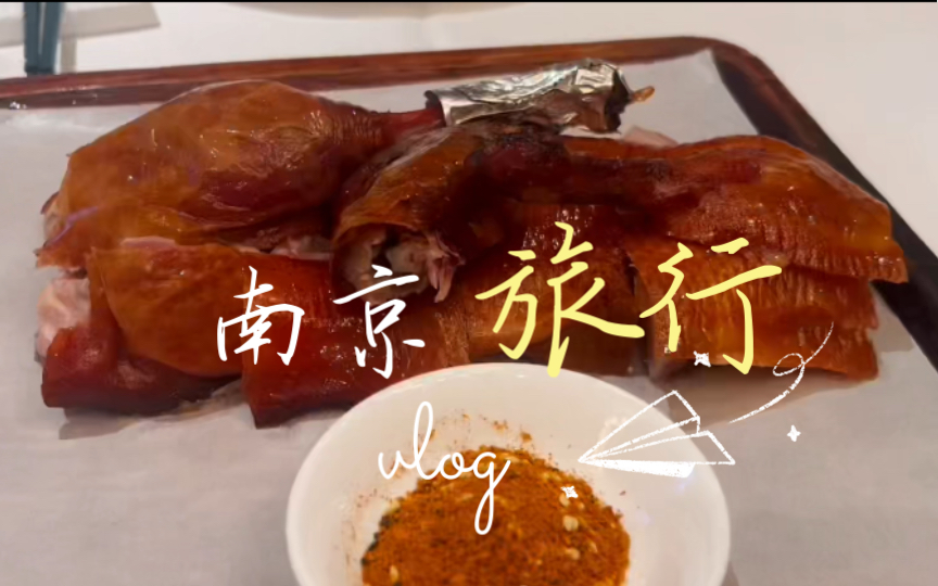 南京旅游vlog哔哩哔哩bilibili