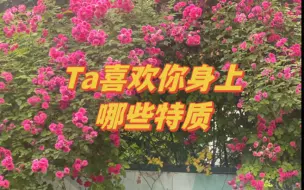 下载视频: Ta喜欢你什么？你身上哪些特质吸引了Ta？