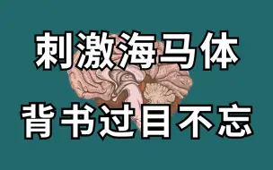 Download Video: 【超神奇记忆法】记忆力爆炸！学渣变学霸！史上最强的海马体记忆法！一天背完500页【暴涨记忆力】学习1小时抵过10小时！【干货满满】不熬夜，不死背！惊人记忆法！