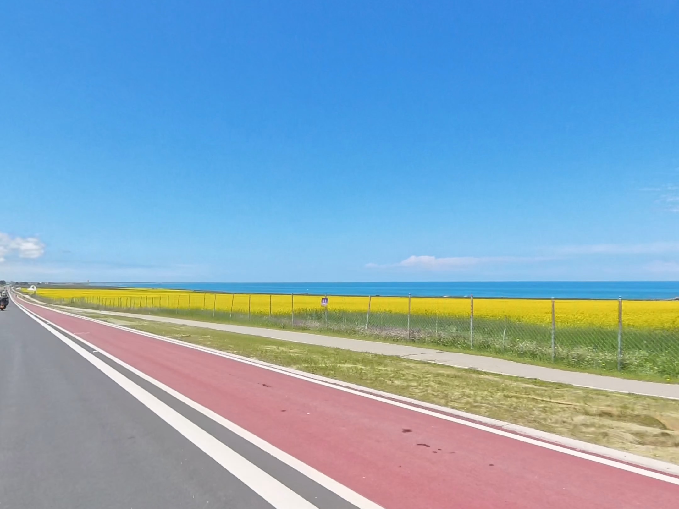 7月17青海湖2