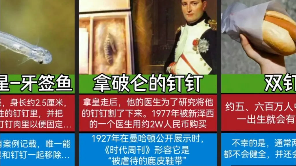 一些奇怪的冷知识_哔哩哔哩_bilibili
