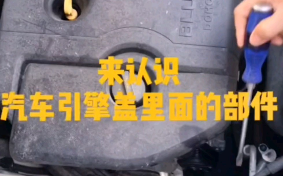 汽车引擎盖里面的一些部件,你知道吗?哔哩哔哩bilibili