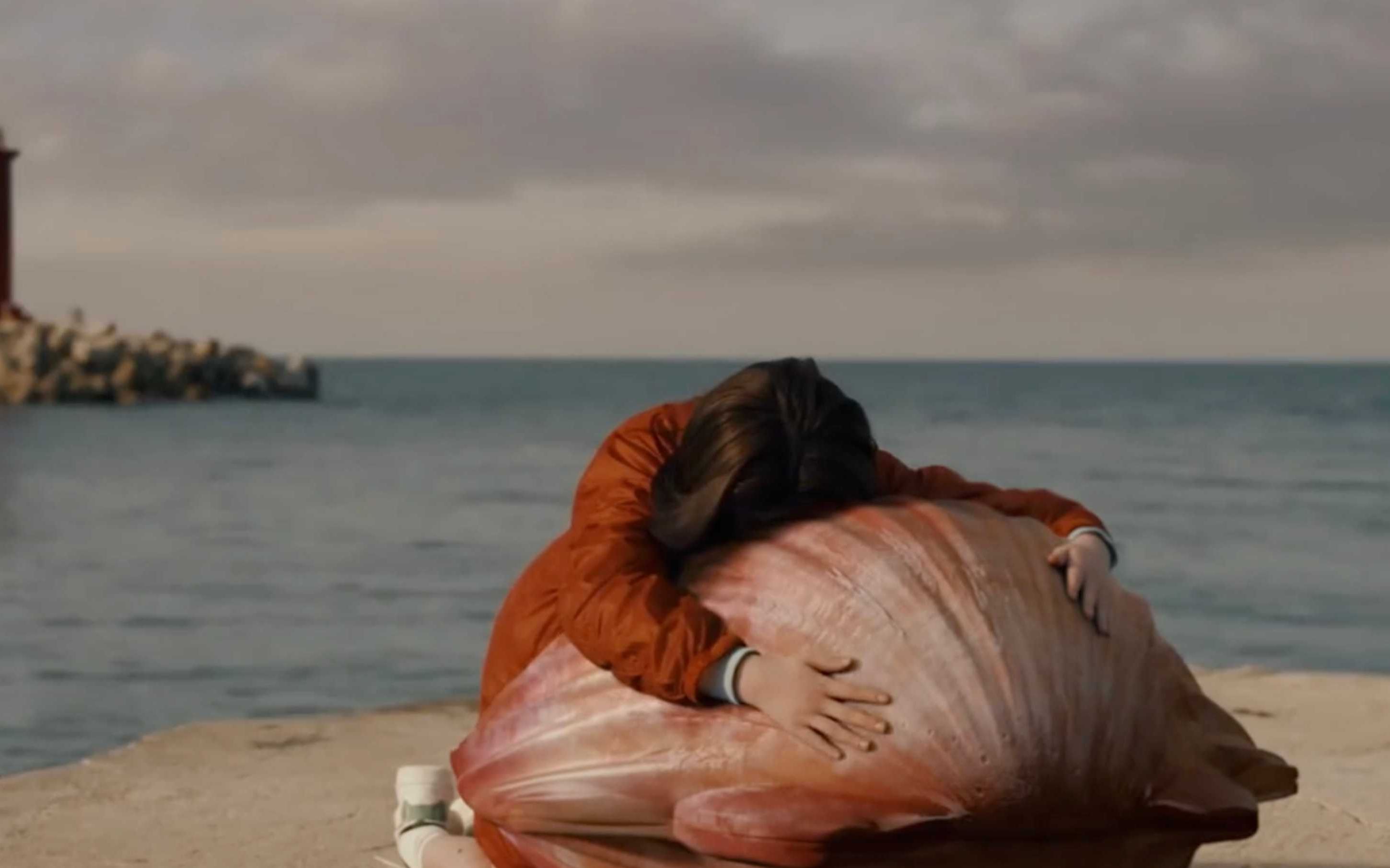 韩国冰箱公益广告:扇贝精饲养指南