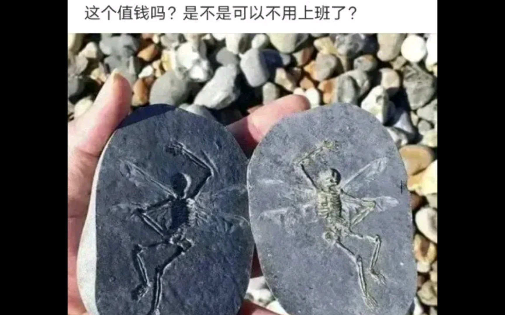 [图]那些网络大神的神评论#13